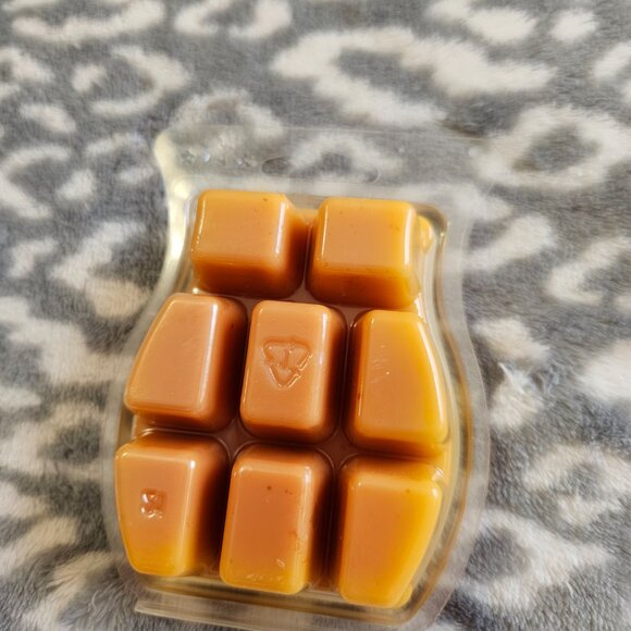 Assorted Scentsy 3.2 oz Wax Melts 8-Bar Packs New - You choose! - Picture 9 of 13